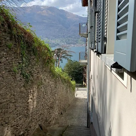 Baby Ντέρβιο